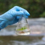 Close-up view of a hand in a latex glove holding a water sample bottle.