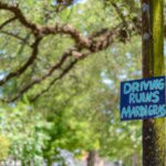 Hand-painted sign in blue, “Driving ruins Mardi Gras” nailed to a tree