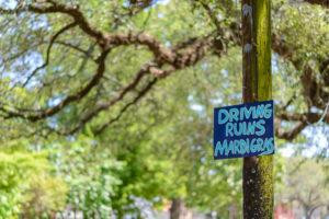 Hand-painted sign in blue, “Driving ruins Mardi Gras” nailed to a tree