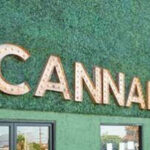 New Jersey Cannabis Lawyer Assisting Dispensaries with Real Estate Matters. A view of a cannabis dispensary, highlighting real estate considerations for cannabis businesses in NJ.