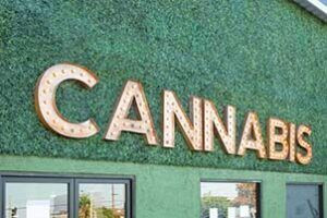 New Jersey Cannabis Lawyer Assisting Dispensaries with Real Estate Matters. A view of a cannabis dispensary, highlighting real estate considerations for cannabis businesses in NJ.