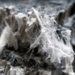 Microscopic view of asbestos fibers.