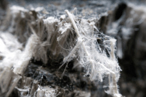 a microscopic view of asbestos fibers
