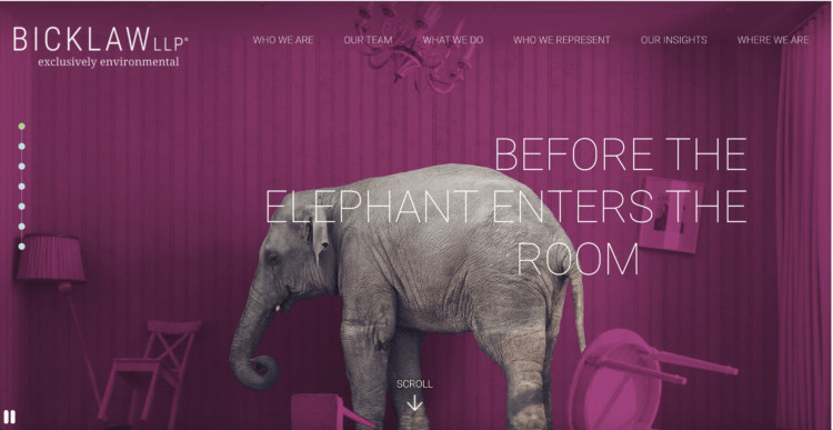 Bick Law LLP website screenshot