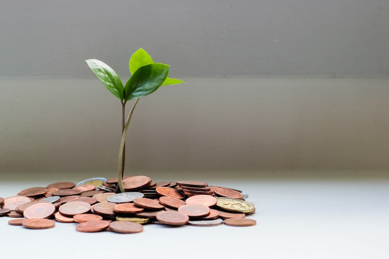 Assessing Financial Situation